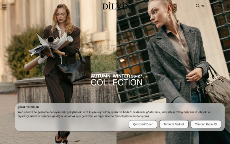 Dilvin web sitesinin ana sayfa görünümü